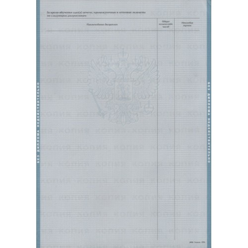 Диплом бакалавра 2004-2008 на бланке  ГОЗНАК